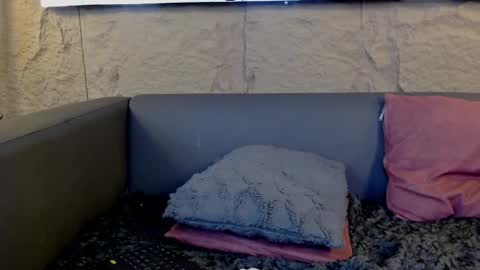 rihanna online show from October 8, 4:35 pm