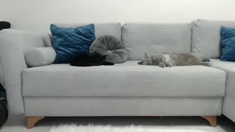 RileyEve online show from December 2, 12:09 am