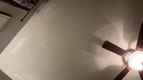 BwC4Breed online show from January 21, 11:35 am