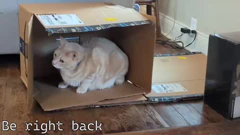 Ryan aka KeylimeRy online show from December 4, 7:24 pm