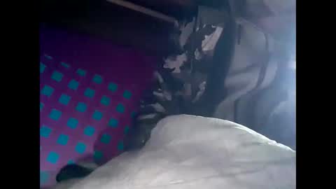 R online show from February 26, 5:53 pm