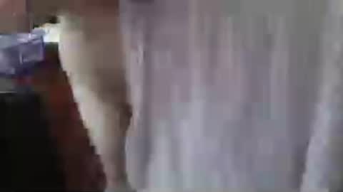 rocky082288 online show from June 15, 2:53 pm
