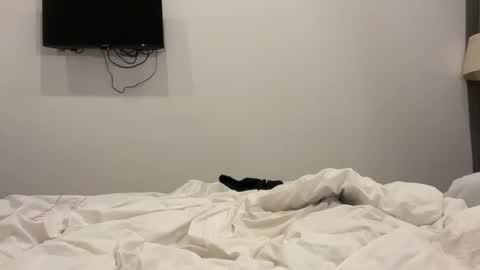 rockybee1 online show from October 26, 12:11 am