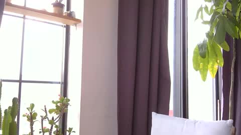 RossCollab online show from February 22, 1:47 pm