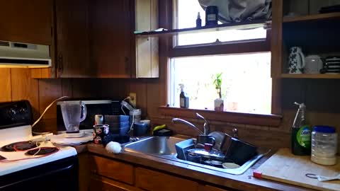 rosvelly8 online show from October 13, 4:20 pm