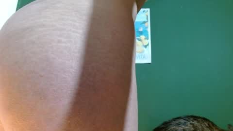 Roxie online show from April 15, 2:37 am