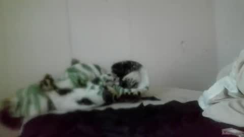 Roxy and Brock online show from November 5, 7:38 pm