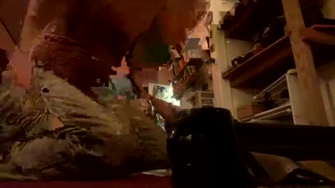 rp131313 online show from March 6, 2:54 am