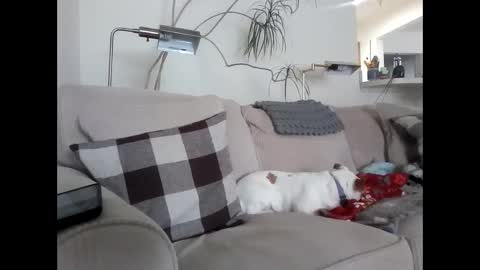 Snapshot of rustyx22 chatting on March 6, 4:07 pm Rusty online show from March 6, 4:07 pm