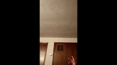 rwcat3006 online show from April 11, 2:16 am