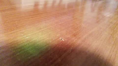 rwzar_1965 online show from August 2, 2:13 am