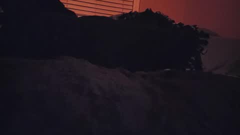 RFC666 online show from November 6, 7:11 am