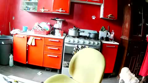 ruby  chocoholic cakeholic coffeeholic cookieholic online show from April 11, 9:08 pm