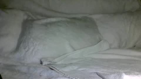 SD17 online show from December 31, 3:12 am