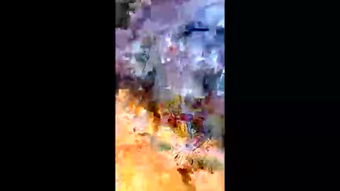 sameroptike67 online show from April 20, 12:35 am