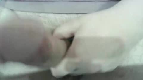 Sam online show from February 8, 12:08 pm