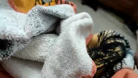 sandini710 online show from April 13, 10:30 am