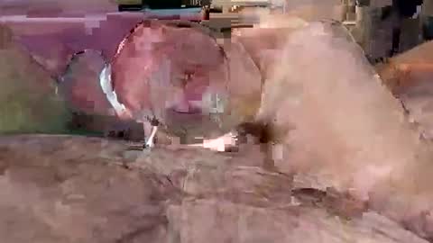 sappyhaha online show from December 2, 8:29 pm