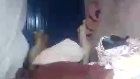 sashabigbooty online show from July 16, 4:43 pm