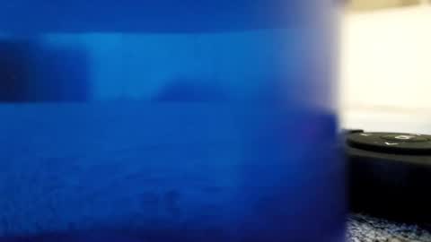 saulcontigo online show from December 5, 11:41 am