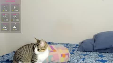 scarlet online show from November 30, 6:20 am