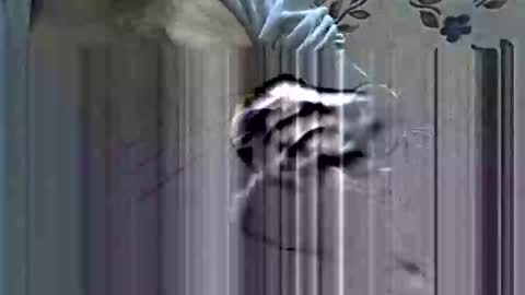 scorpion35hb online show from January 18, 4:38 pm