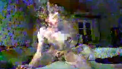 scratt67 online show from November 22, 3:38 am