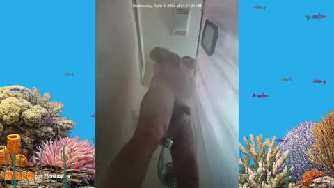 ScrubbyLuv online show from April 8, 9:34 am