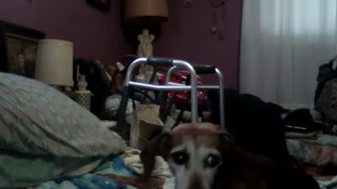 seanstiffy3916 online show from September 16, 5:38 pm