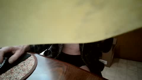 secretoria online show from February 10, 7:07 pm