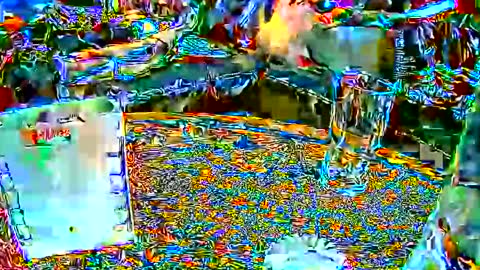 Sebastian online show from December 29, 10:01 am