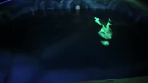 Seeker online show from April 19, 8:26 am