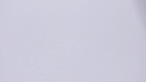 selenne_rouse online show from April 27, 12:19 am