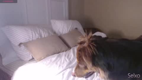 Snapshot of selxo chatting on October 30, 1:55 pm Sel online show from October 30, 1:55 pm