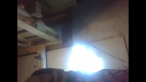 sexy15802 online show from December 21, 2:04 pm