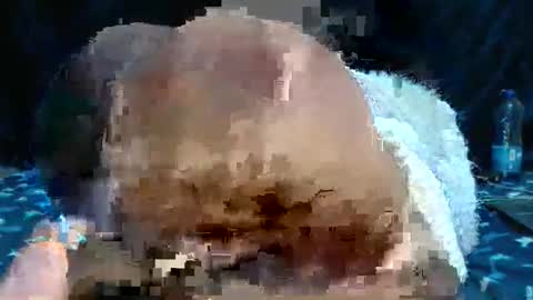 Natalie sweet online show from April 3, 1:51 pm