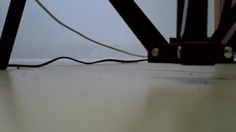 sexyshaza online show from December 15, 11:39 am