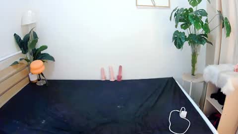 sexytrixie11 online show from June 22, 3:47 am