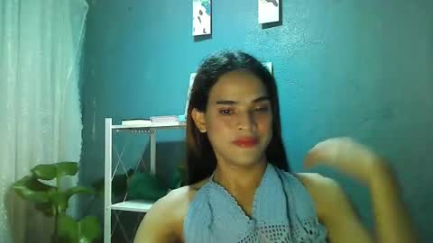 shaharra online show from November 26, 10:34 am