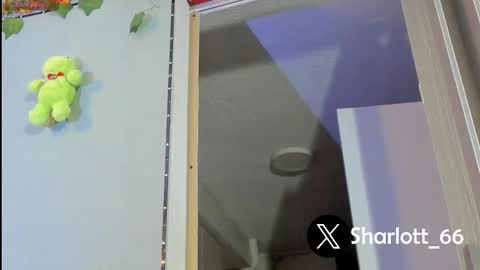 Sharlott online show from November 24, 10:52 pm