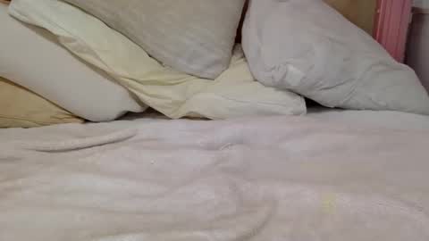 shavednsw online show from February 21, 8:17 am