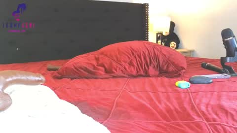 Shawn Geni online show from February 7, 12:50 pm