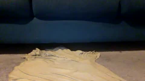 shazbot84 online show from April 10, 4:07 am