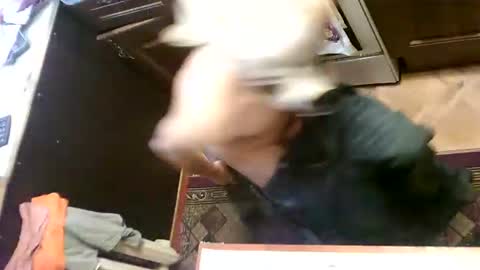 shirogane2004 online show from January 14, 12:46 pm