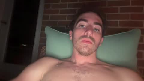 shirtlesshunk15 online show from June 25, 4:20 am