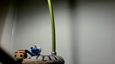 show_on_for_you online show from March 11, 10:57 pm