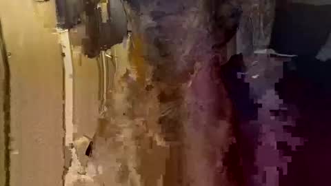 tomuchfunn online show from November 20, 10:25 am