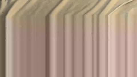 shuckinshorts online show from November 16, 11:23 am