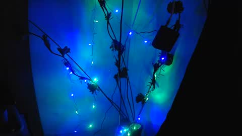 Elektra chair online show from November 8, 9:29 pm