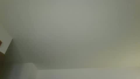 silverfunfox online show from April 13, 12:48 am